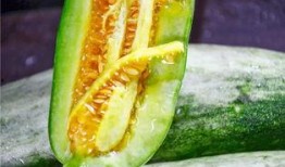 网红刘雅婧吃瓜,一场吃瓜盛宴背后的故事